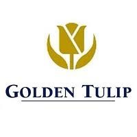 Golden tulip